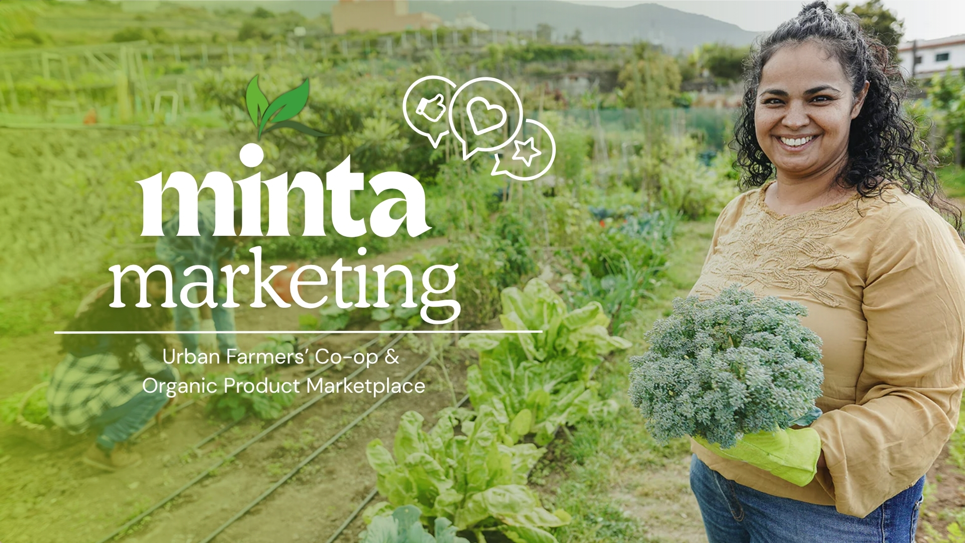 Minta Brand Personal Designing